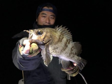 Magic（マジック） 釣果