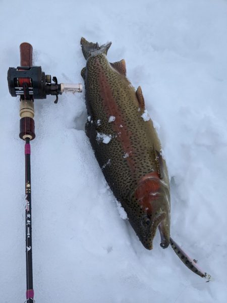 会津大川（会津非出資漁業協同組合） 釣果