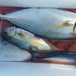 第五慶門丸 釣果