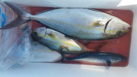 第五慶門丸 釣果