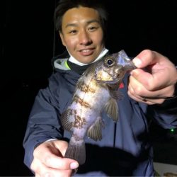 Magic(マジック) 釣果