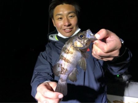 Magic(マジック) 釣果