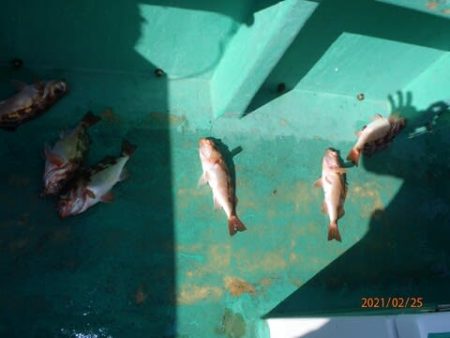 第二むつ漁丸 釣果