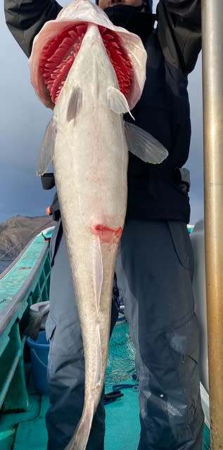 広進丸 釣果