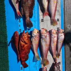 正幸丸 釣果