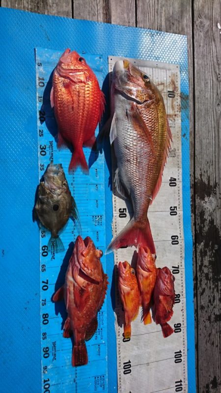 正幸丸 釣果