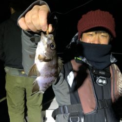 Magic(マジック) 釣果