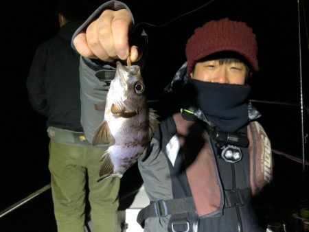 Magic(マジック) 釣果