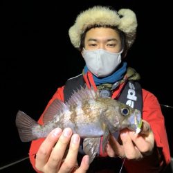 Magic(マジック) 釣果