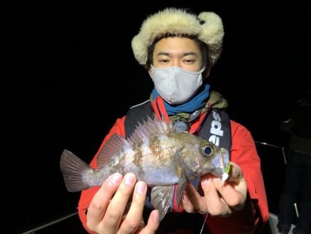 Magic(マジック) 釣果