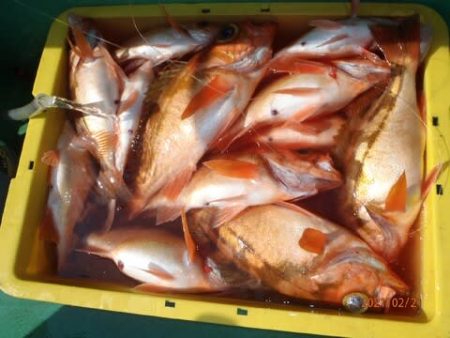第二むつ漁丸 釣果