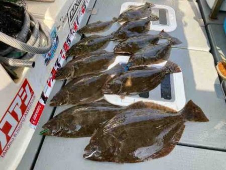 遊漁船 セトマリン 釣果