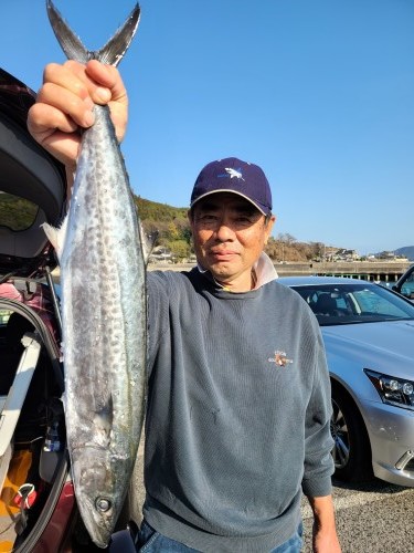 桑田観光 釣果