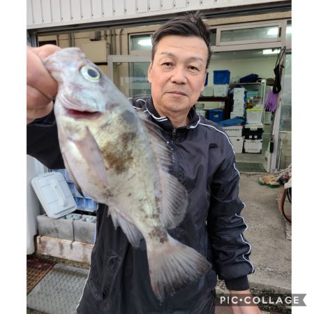 桑田観光 釣果