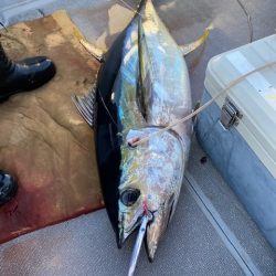 へいみつ丸 釣果