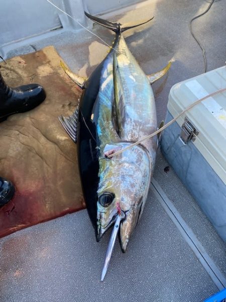 へいみつ丸 釣果