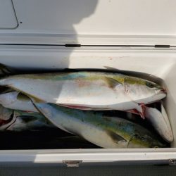 遊漁船　ニライカナイ 釣果