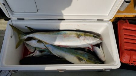 遊漁船　ニライカナイ 釣果