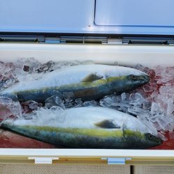 遊漁船　ニライカナイ 釣果