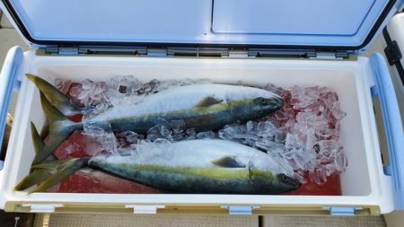 遊漁船　ニライカナイ 釣果