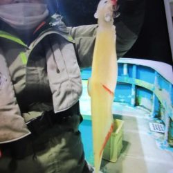 松福丸 釣果