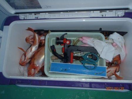 第二むつ漁丸 釣果