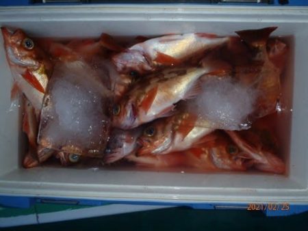 第二むつ漁丸 釣果