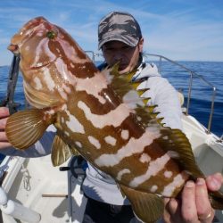 TOPGUN名古屋 釣果