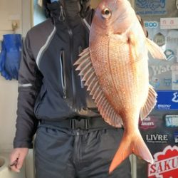 遊漁船　ニライカナイ 釣果