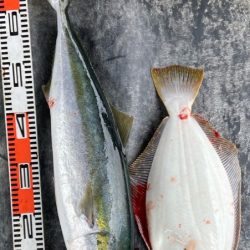明神釣船 釣果
