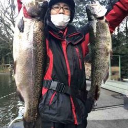 フィッシング サンクチュアリ 釣果