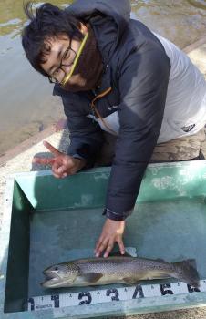 フィッシング サンクチュアリ 釣果