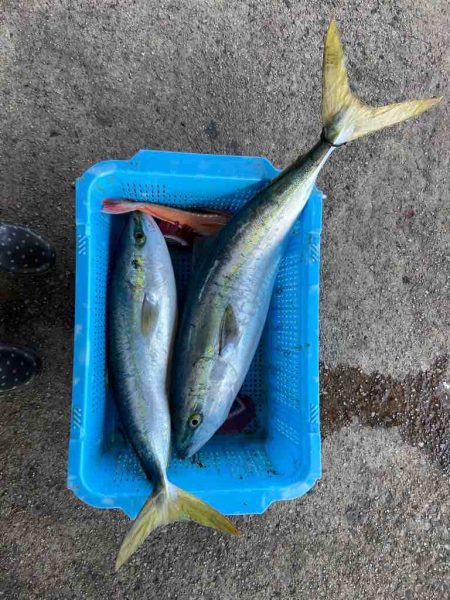 明神釣船 釣果