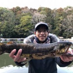 フィッシング サンクチュアリ 釣果