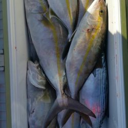 第五慶門丸 釣果