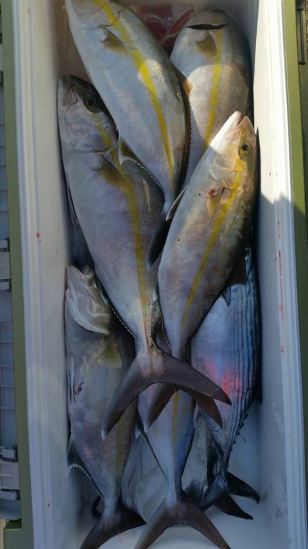 第五慶門丸 釣果