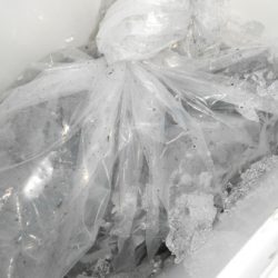 こうゆう丸 釣果