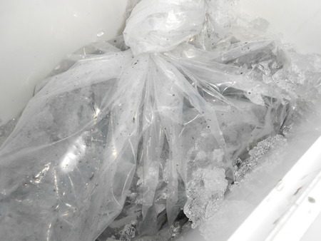 こうゆう丸 釣果