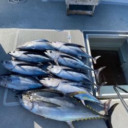 へいみつ丸 釣果