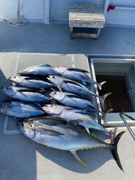 へいみつ丸 釣果