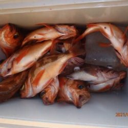 第二むつ漁丸 釣果