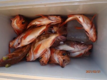 第二むつ漁丸 釣果