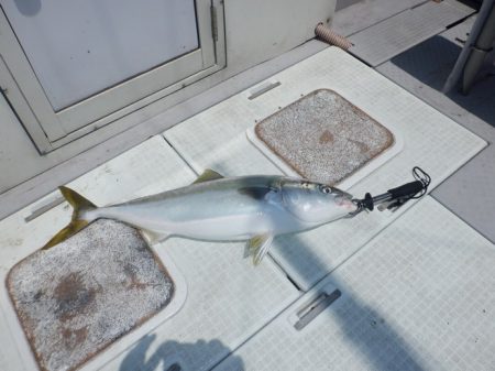 遊漁船 遊友 釣果