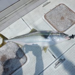 遊漁船 遊友 釣果