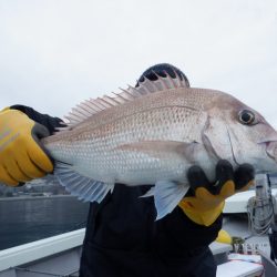 遊漁船 遊友 釣果