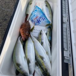 シーモンキー 釣果