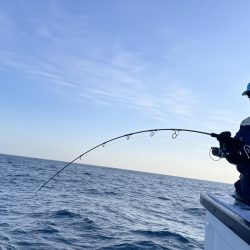 松鶴丸 釣果