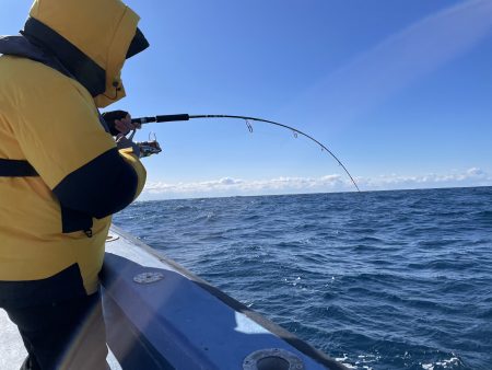 松鶴丸 釣果