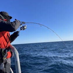 松鶴丸 釣果