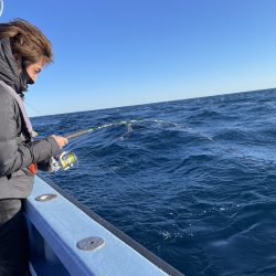 松鶴丸 釣果
